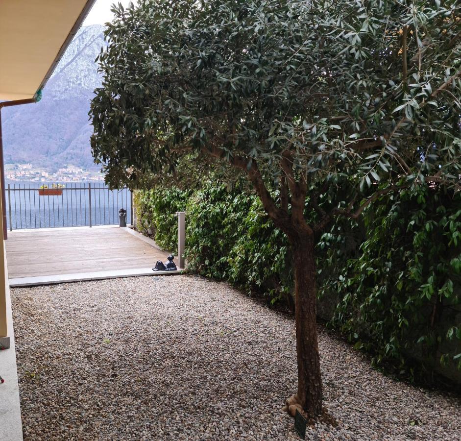Colonno Panoramica Lago Di Como 外观 照片