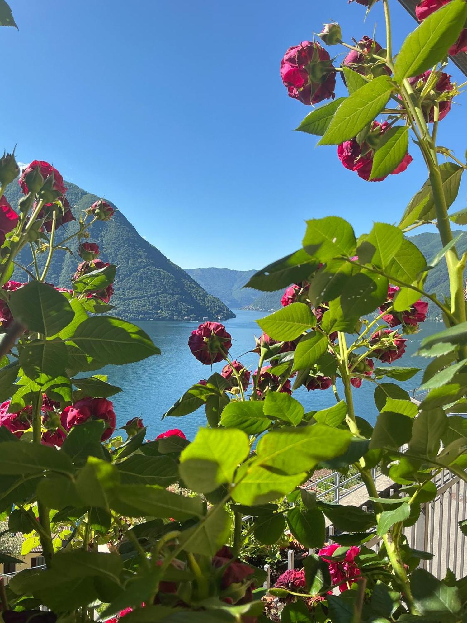Colonno Panoramica Lago Di Como 外观 照片